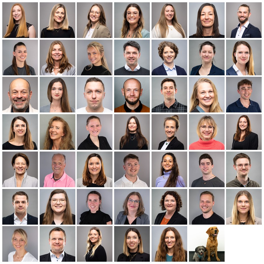 Aktivital Team-Collage